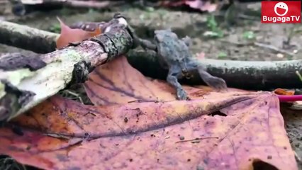 [BugagaTV] Overwatch в реальности  | Приколы и Фейлы 2016 Ноябрь #1