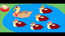 Five Little Ducks Nursery Rhyme - Five Little Ducks - Childrens Song - Nursery Rhyme for Children