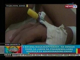BP: 3 batang magkakapitbahay sa Bohol, na-dengue dahil sa lamok na nagmula sa abandonadong bahay