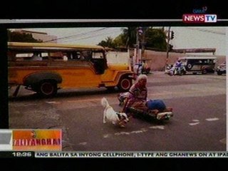 BT: Asong si 'Douglas', nagsisilbing paa at   bagay ng among paralisado