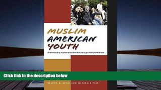 PDF  Muslim American Youth: Understanding Hyphenated Identities through Multiple Methods