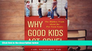 Read Online Why Good Kids Act Cruel: The Hidden Truth about the Pre-Teen Years For Kindle