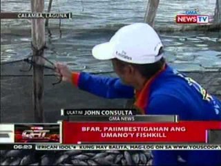QRT: Nasa 10 tonelada ng isda, nangamatay   nang magsimula ang pag-ulan