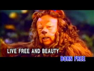 [THE BEST COLLECTION OF LOVE SONGS] BORN FREE - VOLUME 8