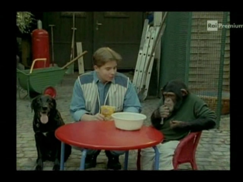 Il nostro amico Charly 1x06 - Charly in pericolo