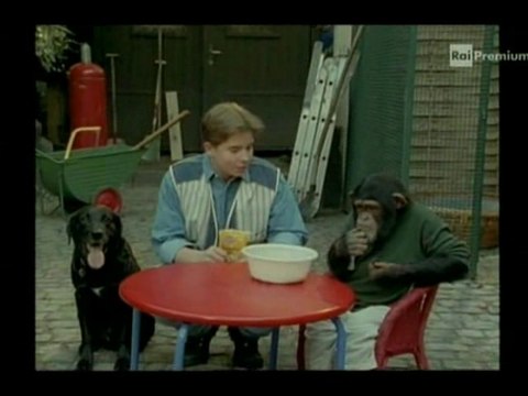 Il nostro amico Charly 1x06 - Charly in pericolo