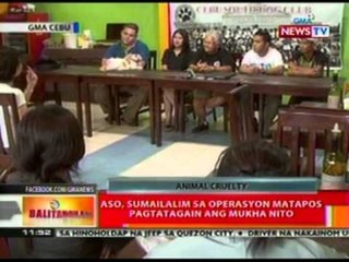 BT: Aso, sumailalim sa operasyon matapos pagtatagain ang mukha nito