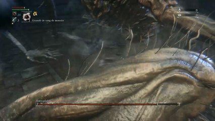 Bloodborne-blood level 4- Amygdala donjon maudit vicié