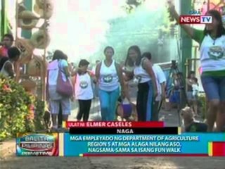 BP: 12 replica ng butanding, ibinida sa bayan ng Sorsogon