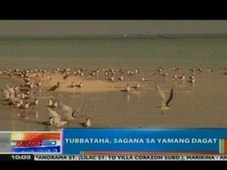 NTG: Tubbataha, sagana sa yamang dagat (052812)