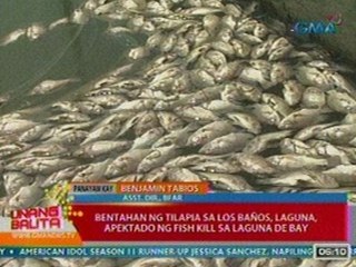 UB: Panayam kay BFAR Asst. Dir. Benjamin Tabios (052812)