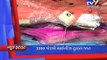 Gujarat Fatafat : 14-01-2017 - Tv9 Gujarati