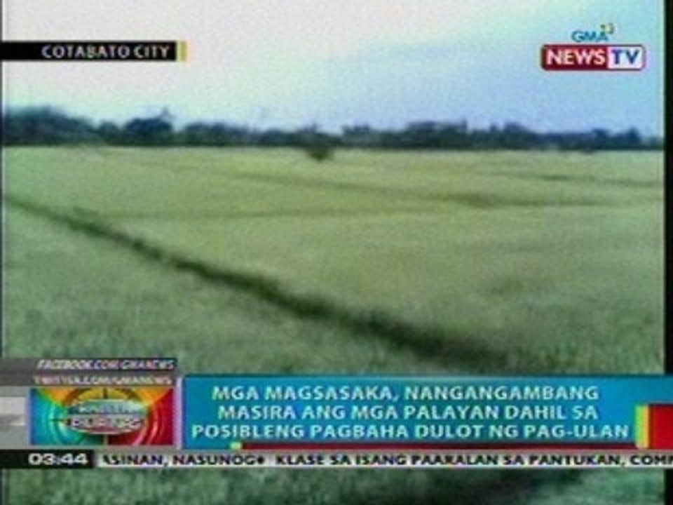 BP: Magsasaka sa Cotabato, nangangambang masira ang mga palayan dahil sa pagbaha dulot ng  pag-ulan