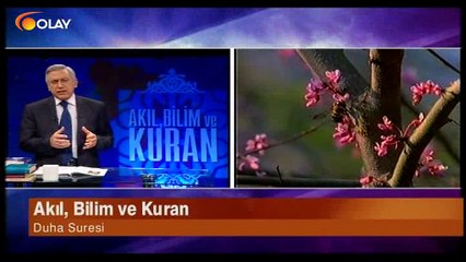Akıl, Bilim ve Kur'an 12 01 2017