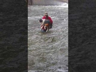 Un homme sauve un chien d'une eau gelé