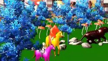 Colors Horse Racing 3d Animation Movies For Children Colours Rhymes Horse Cartoons For Children