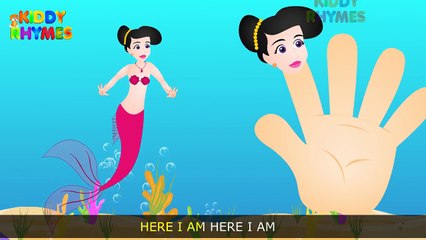 Finger Family (Shark) Finger Family | Mermaid Finger Family | Fish Finger Family Rhymes