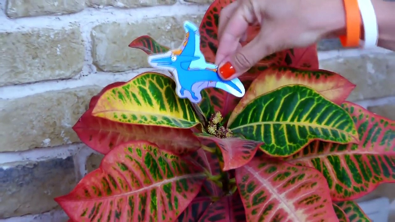 Dinosaur Dino Puzzle! Jigsaw Cartoon Demo for Children [dinossauro para crianças] Videos for kids