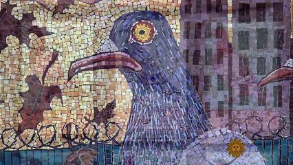 NYC Pigeons take flight with new light show