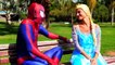 Frozen Elsa loves JOKER? Spiderman VS Joker, Pink spidergirl, Hulk | Fun Superheroes in real life