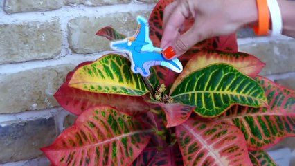 Dinosaur Dino Puzzle! Jigsaw Cartoon Demo for Children [dinossauro para crianças] Videos for kids