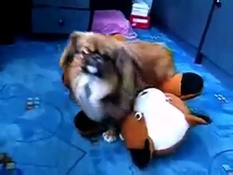 Подборка лучших ПРИКОЛОВ 2015 Самые нелепые РУССКИЕ приколы видео випуск№32