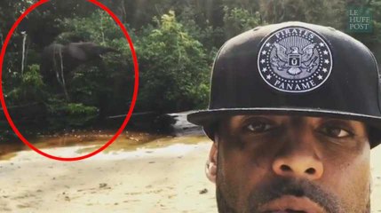 Au Gabon pour la CAN 2017, Booba se fait charger par un éléphant