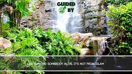 The Essence of Islam by Shaykh Hamza Yusuf