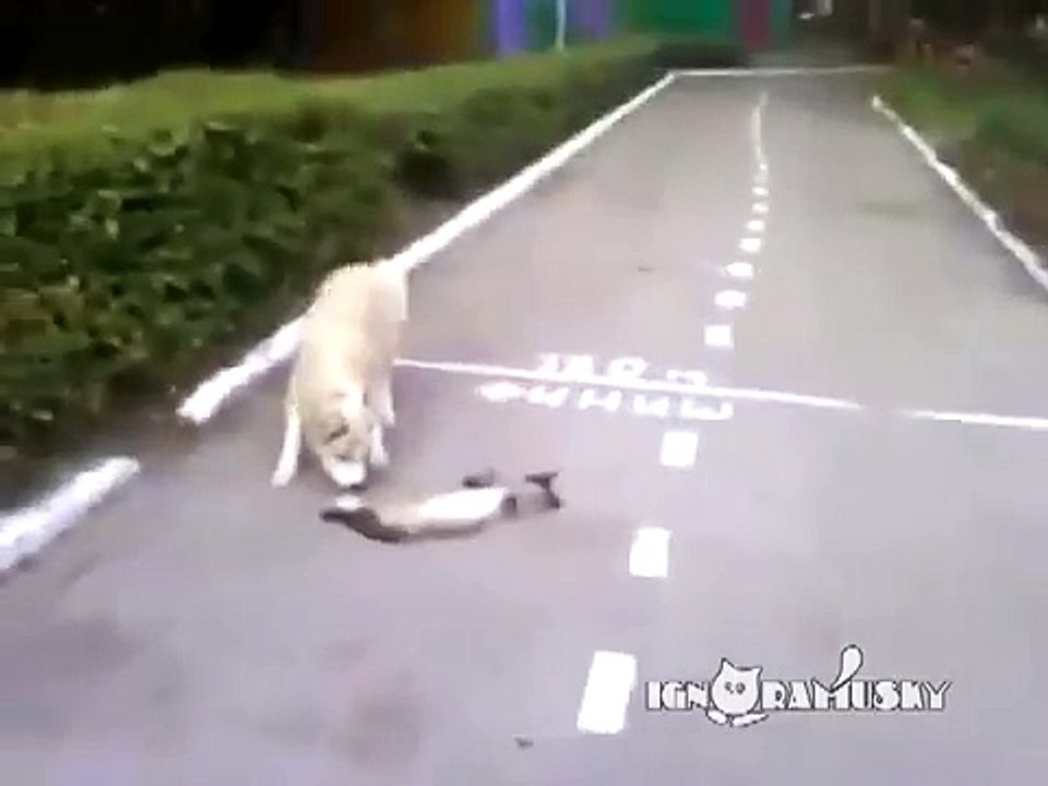 Да он же мертвый