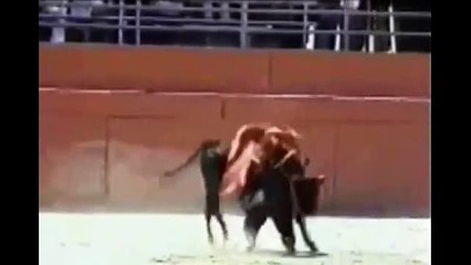 UN TAUREAU TENTE DE VIOLER UNE TORÉADOR NAINE.