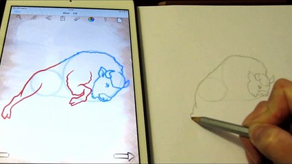Как нарисовать бизона поэтапно. Рисуем бизона по шагам для детей How to draw a Bison step by step