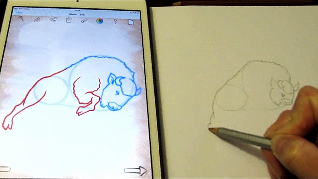 Как нарисовать бизона поэтапно. Рисуем бизона по шагам для детей How to draw a Bison step by step
