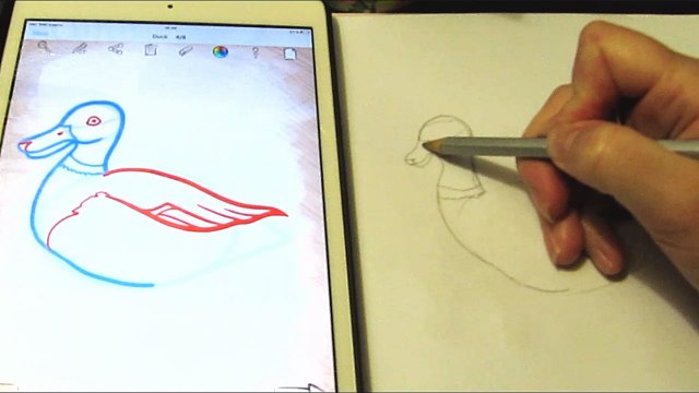 Как нарисовать уточку поэтапно. Рисуем уточку по шагам для детей How to draw a Duck step by step
