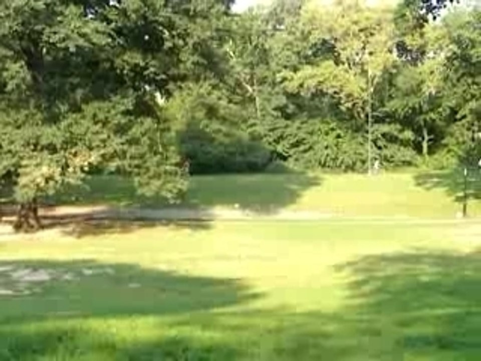 Central Park