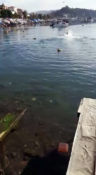 ereglionder.com.tr eregli denize dusen kurtarma bozhane cep telefonu