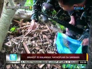24 Oras: Mahigit 30 kalansay, natagpuan sa sakahan sa Quezon