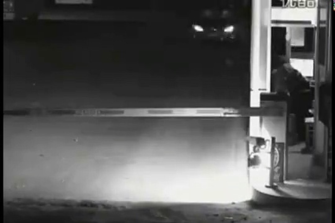 Very CLEVER Girl Must Watch