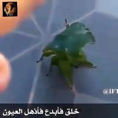 Allah k elawa koi aur hai jo aisi takleeq kar sakay