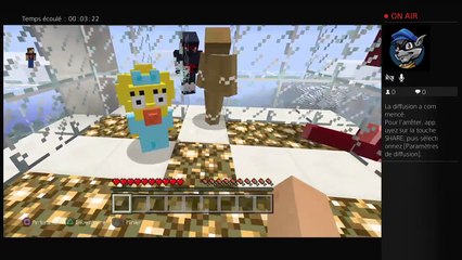 Minicraft (36)