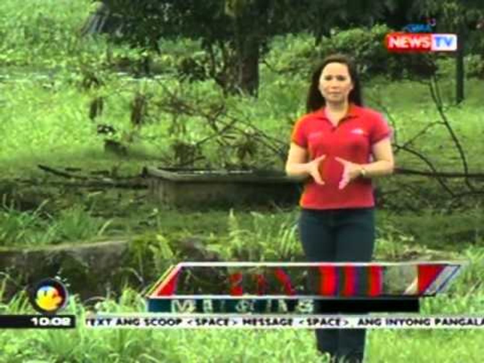 Panukala ng DENR na ilipat si Lolong sa Metro Manila, tinutulan ng lokal na pamahalaan ng Bunawan