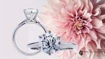 Inter-Continental Jewelers - Houston Custom Diamond Rings