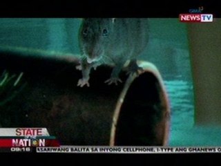 SONA: DOH, naka-leptospirosis alert