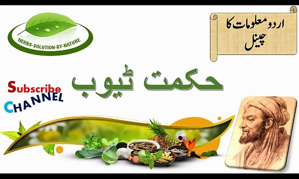 10 Healthy Hot Drinks to Warm You Up | Apkatv