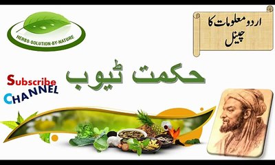 10 Healthy Hot Drinks to Warm You Up | Apkatv