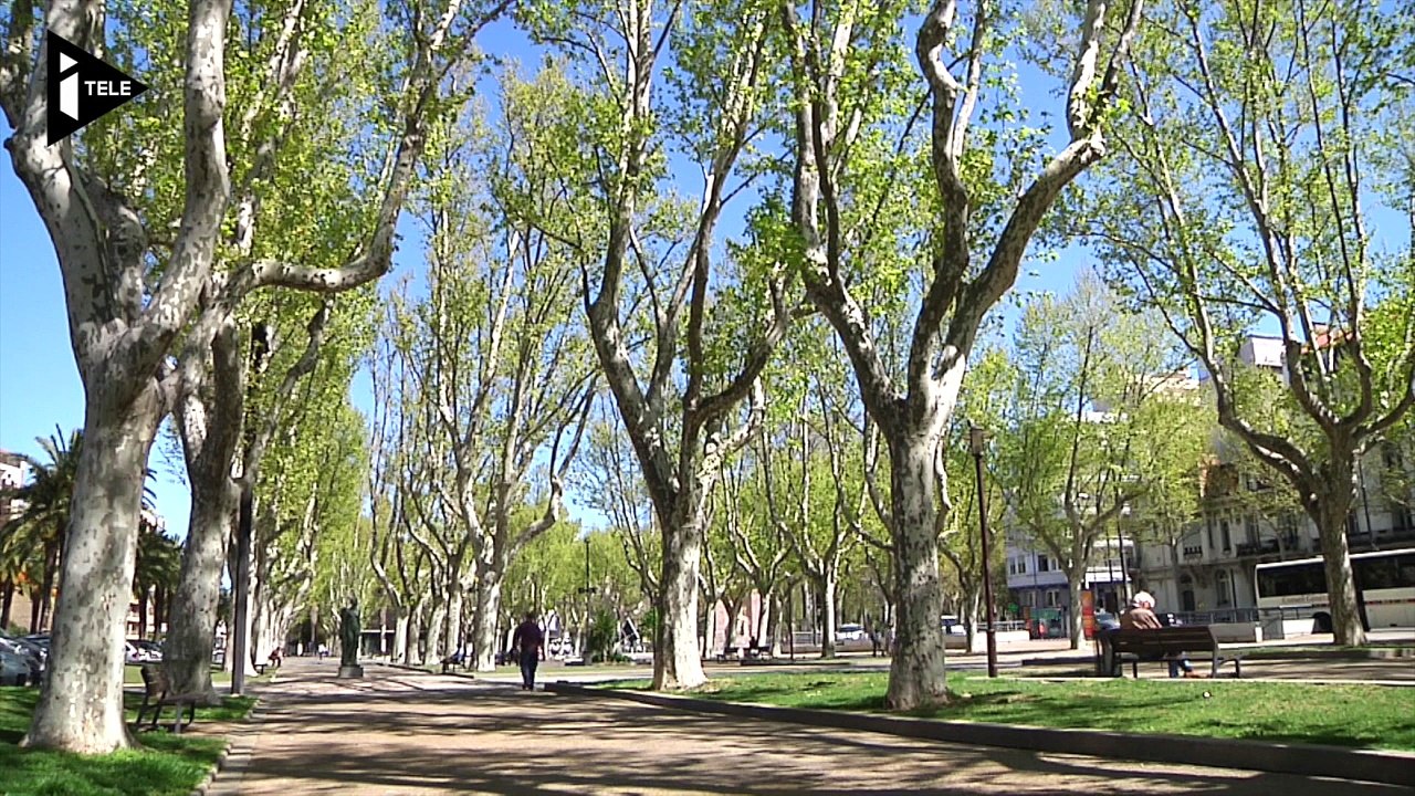 Perpignan. Éternuements et nez bouché sont de retour