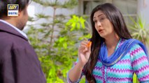 Watch Dilli Walay Dularay Babu Episode 21 - on Ary Digital in High Quality 14th January 2017