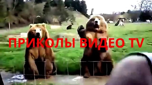 Приколы.Японские девушки любят шутить!
