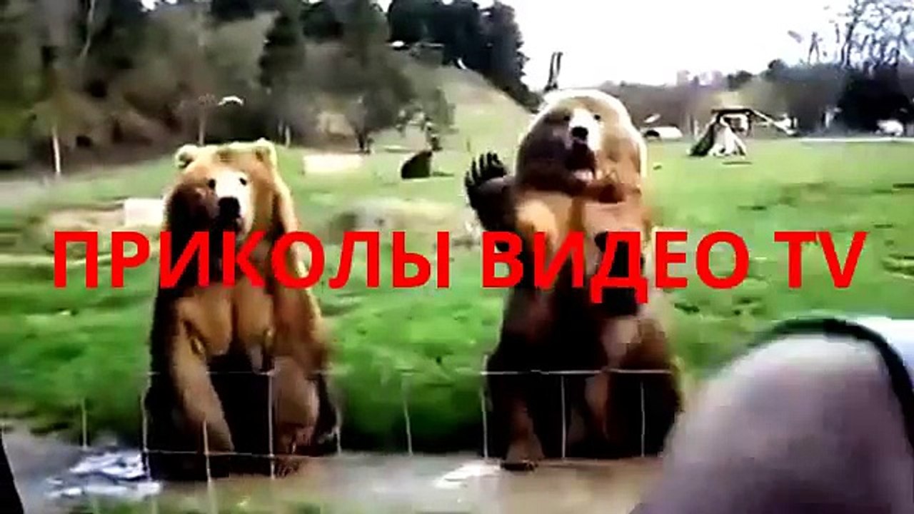 Приколы.Японские девушки любят шутить!