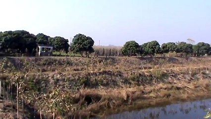 Most Amazing Fruits & Vegetables Farming tigeraktar UP DATE