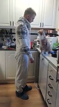 A chaque fois qu’il doit sortir, son chat lui réclame sa dose de câlins. Trop mignon !